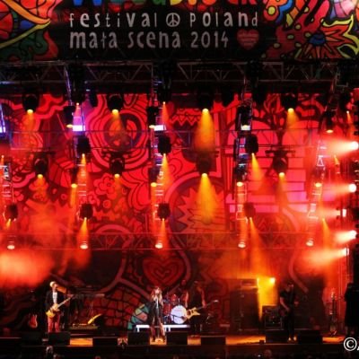 Woodstock, 01.08.2014 r., fot. Mandi Pigulska - facebook.com/MandiRockography